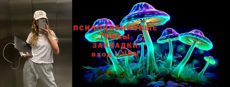 Галлюциногенные грибы мухоморы  маркетплейс Telegram  Ардатов  где купить наркотик 